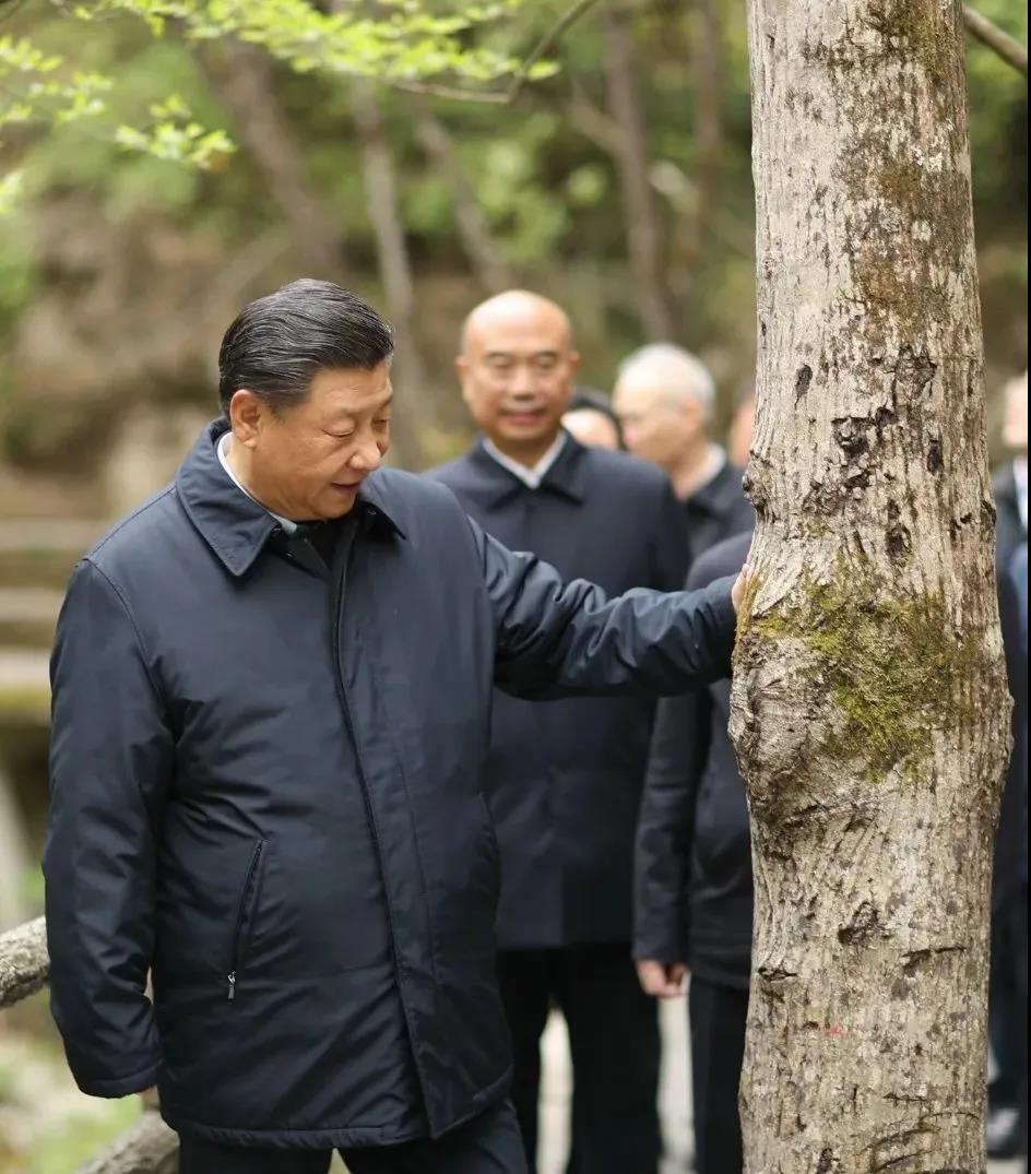 湖南綠楷節(jié)能環(huán)?？萍加邢薰?湖南土壤污染修復,污水處理工程,農(nóng)業(yè)污染治理,環(huán)保工程